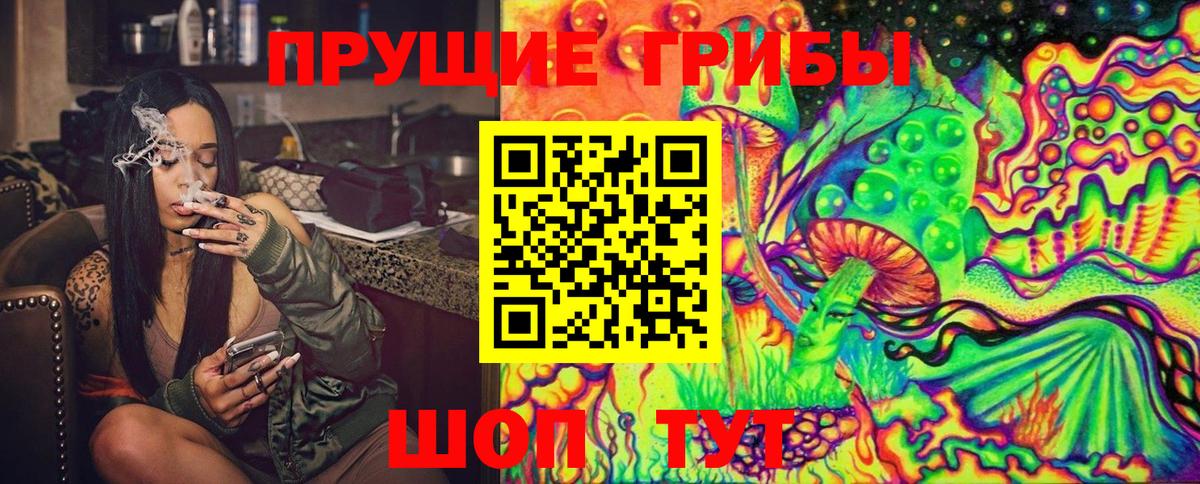 Псилоцибиновые грибы MAGIC MUSHROOMS Конаково