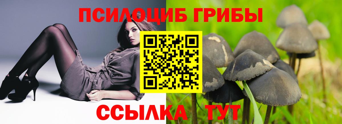 Конаково  Псилоцибиновые грибы Psilocybe  Вход с VPN 